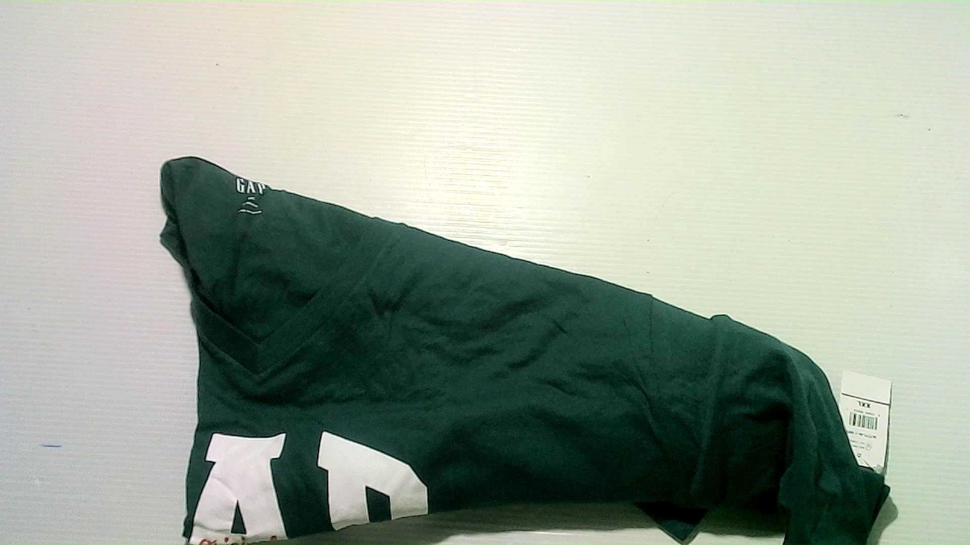 Gap men's green cotton t-shirt